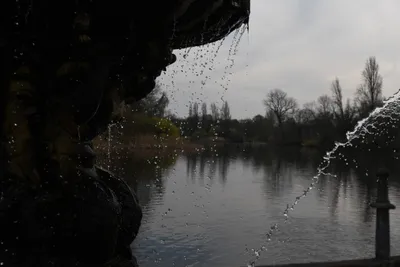 DSC_6906 (Large).JPG